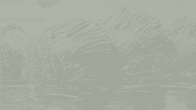 The Legend Collection background 2